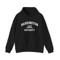 Barrington University Hoodie (Black)