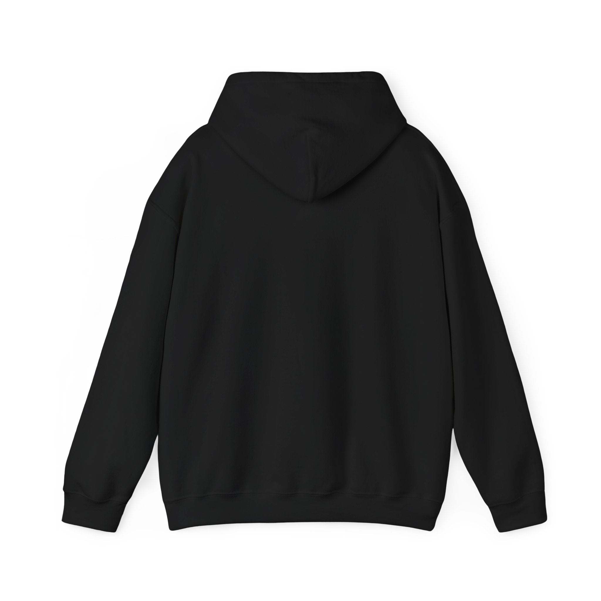 Barrington University Hoodie (Black)